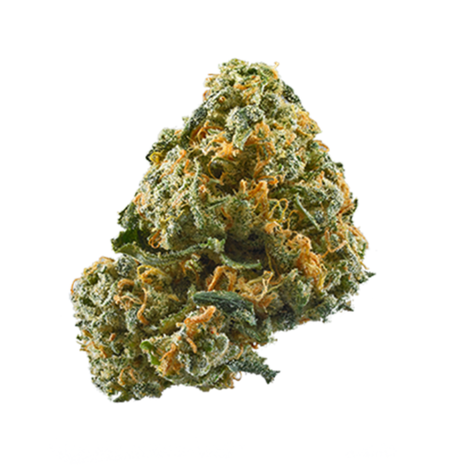 Freakshow strain
