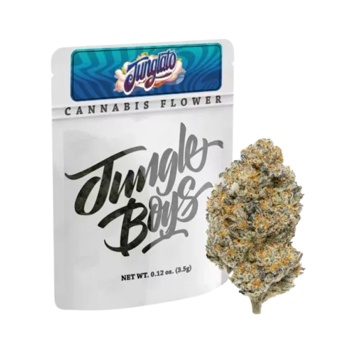 Jungle boys stecklinge